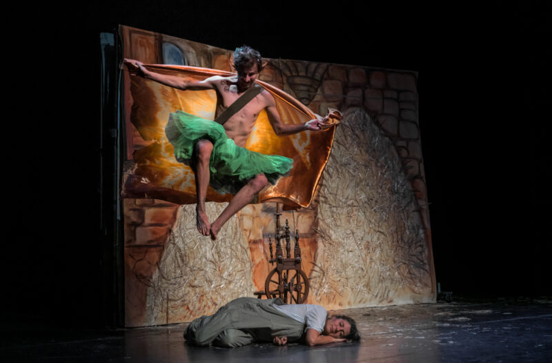 Repelsteeltje-Het-Kleine-Theater-©-Greetje-Mulder-12-800×526